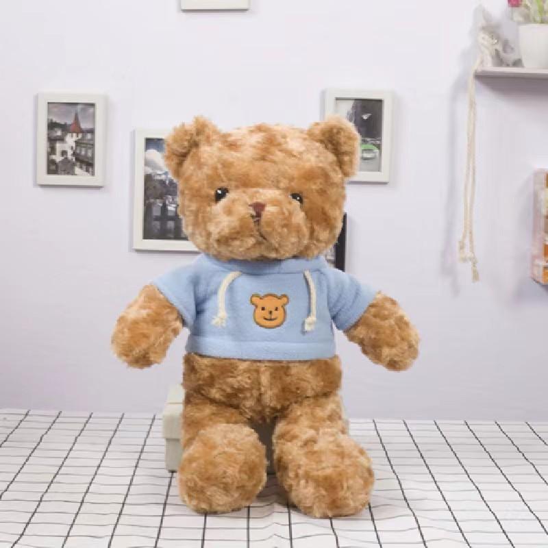 Cute Sweater Bear Plush Toy Doll Teddy Bear Doll Birthday Gift