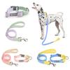 Hunde – Hundehalsbänder & Leinen