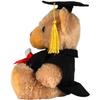 Mumbles Abschluss-Teddybär