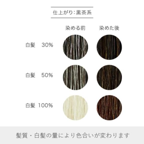 Naiad Henna Indigo Black Tea 100g +