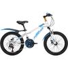 Permanent Youth 24-Speed Mountain Bike
