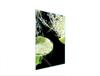 GLAZEN SNIJPLANK 35x52 limoen