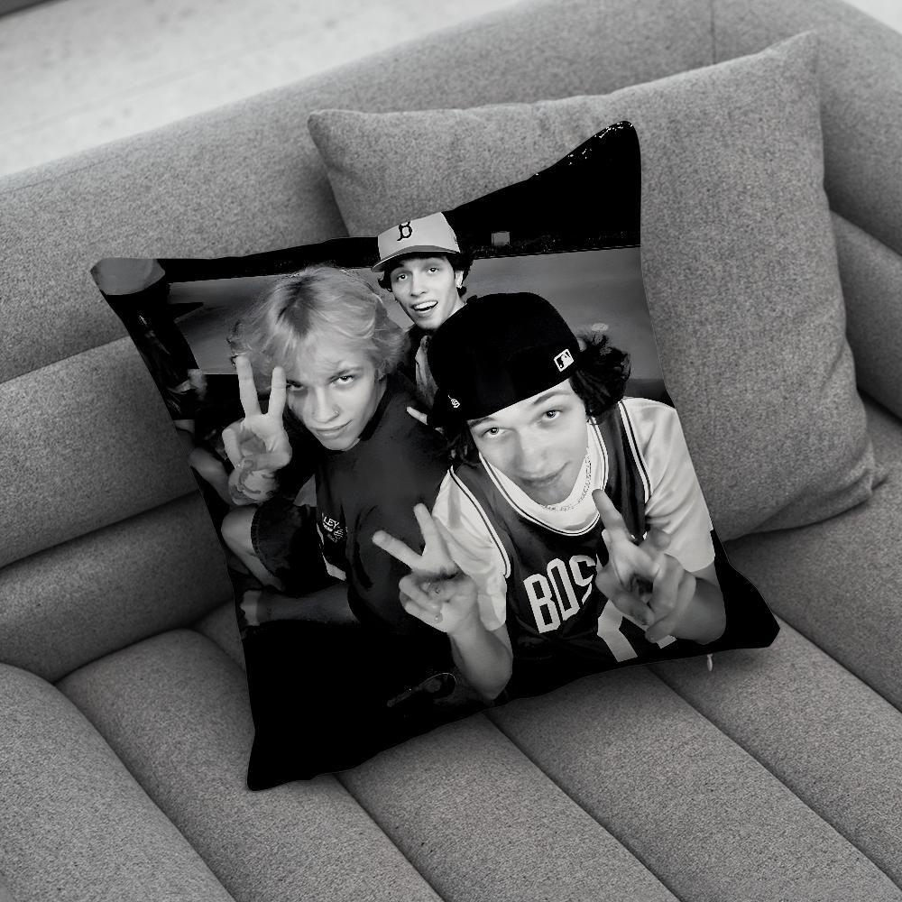 SSturniolo TTriplets Pillow Case Soft Cushion Cases for Farmhouse Sofa Decor Home Decorations and Protector
