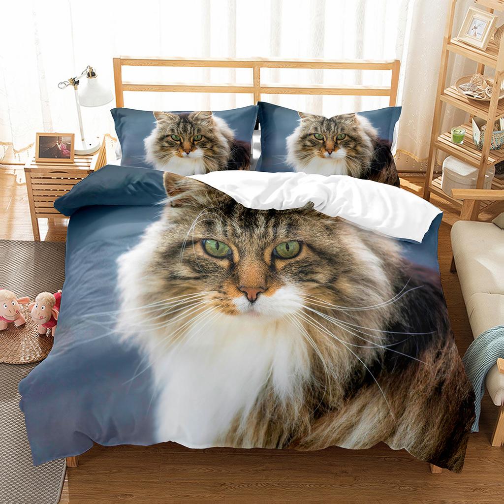 Kočičí povlečení na přikrývku Sada Vzor domácích koček Jednolůžková ložní souprava Roztomilé kotě Pro chlapce Polyester Záhadná Roztomilá kočka King Size Povlak na přikrývku