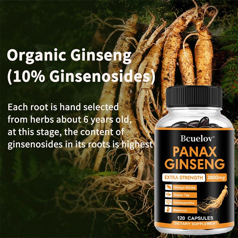 Panax Ginseng 2800mg Kapseln Extra Stark, Kräuter-Nahrungsergänzungsmittel-Mischung mit Ginkgo Biloba, Ashwagandha, Grünem Tee & Roter Bete, Energie- & Fokus-Unterstützung