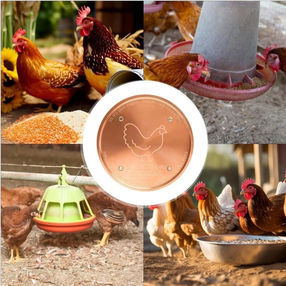 Copper Bird Bath Purification Disk 10cm Feeder Tray New Bird Bath Water Fountain  Outdoor