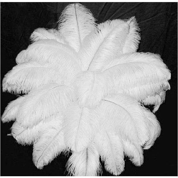 10 Stück 20-25cm Elegante Straußenfedern Große Flauschige Federn für Hochzeitsfeier Hauszimmer DIY Dekorationen