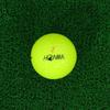 HONMA Golf Officieel Golf HONMA D1 1 Sleeve Ballen, SPIN, Geel, (3 Ballen)