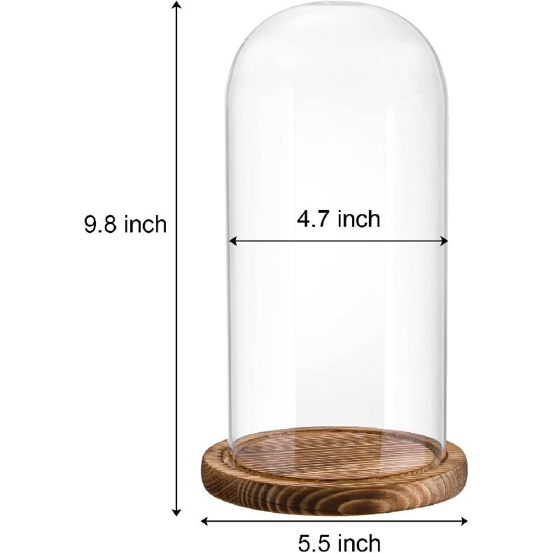 2 Pack Glass Cloche Display Dome, 10 Inch Large Decorative Glass Bell Jar, Clear Dome Showcase with Dark Brown Wooden Base, for Plants, Medals,