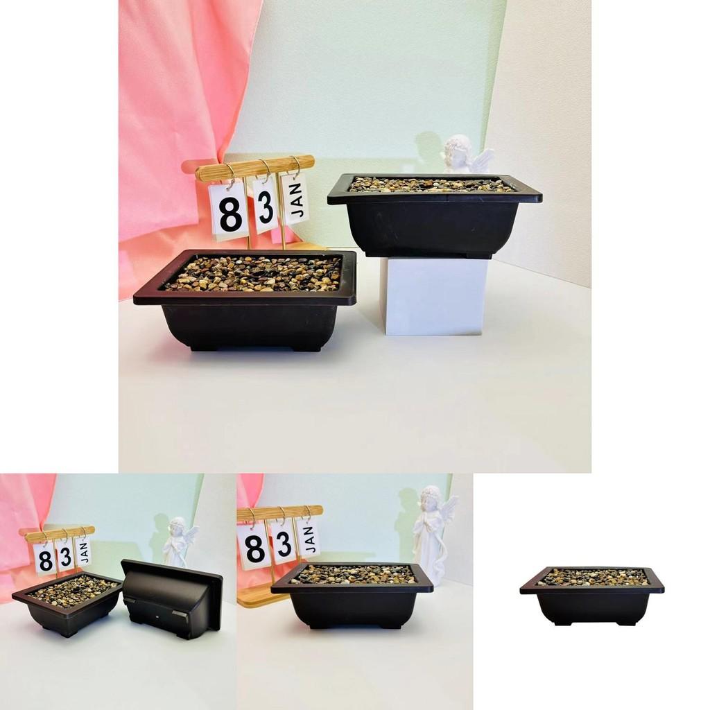 Flowerpot With Simulated Rainflower Rocks For Office Or Living Room Decor