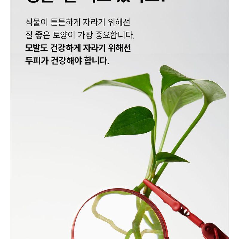 Dr.FORHAIR - Folligen Original Shampoo Jumbo