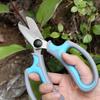 Ru Han Garden Rose Pruning Shears (Set of 2)