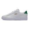 Puma Smash V2 White Amazon Green Unisex Sneakers Team-Gold 365215-36
