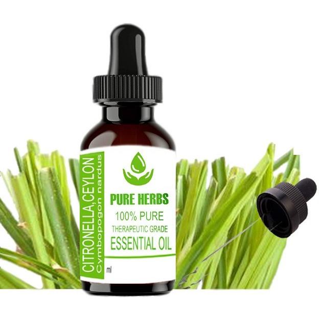 Pure Herbs Citronella Ceylon 100% Pure Cymbopogon Nardus Essential Oil ZA 307