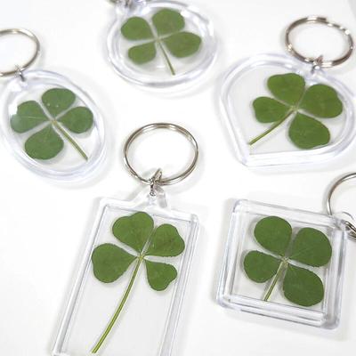 Porte-clés chanceux Vrai trèfle à quatre feuilles Porte-clés