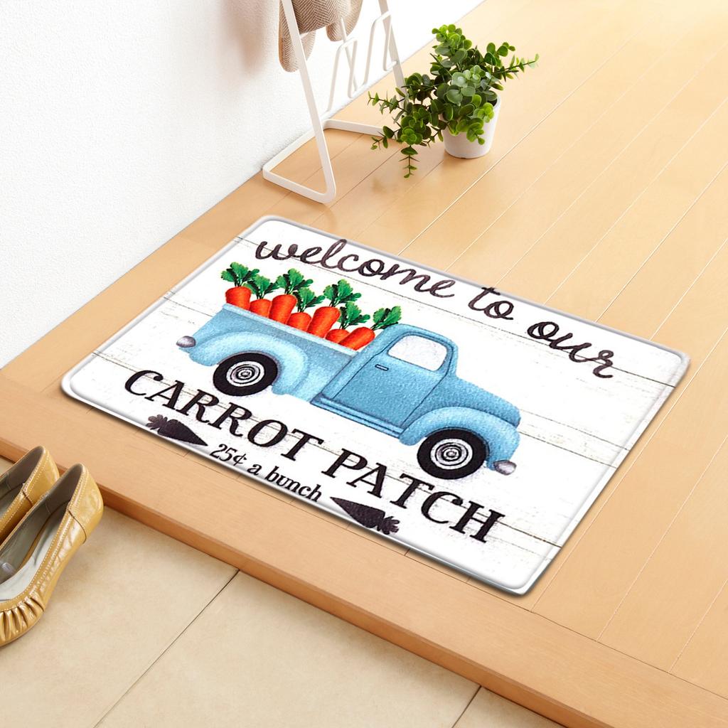 Creative Home Door Mat Water Absorbent Non-Slip Mat Living Room Kitchen Floor Mat Bedroom Carpet