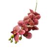 One Real Touch Butterfly Orchid Flower Branch Seven Heads Artificial Moth Phalaenopsis Orchid
