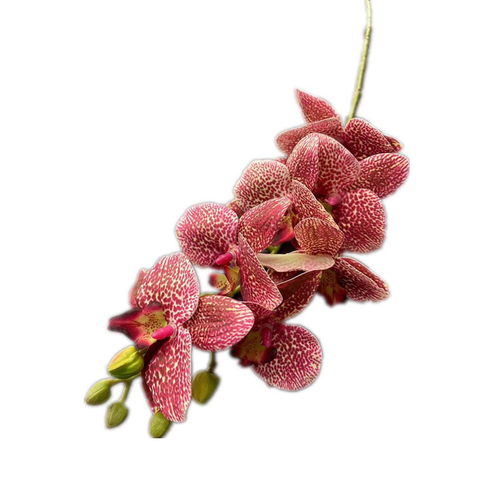One Real Touch Butterfly Orchid Flower Branch Seven Heads Artificial Moth Phalaenopsis Orchid