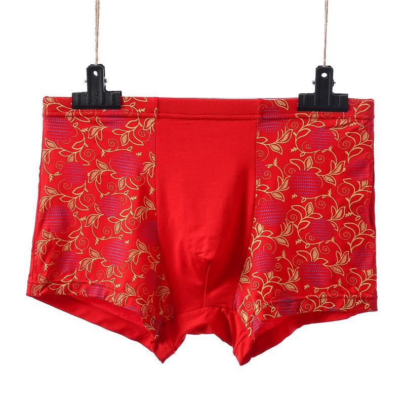 Plus Size Men s Breathable Quick-Dry Boxer Briefs 2XL