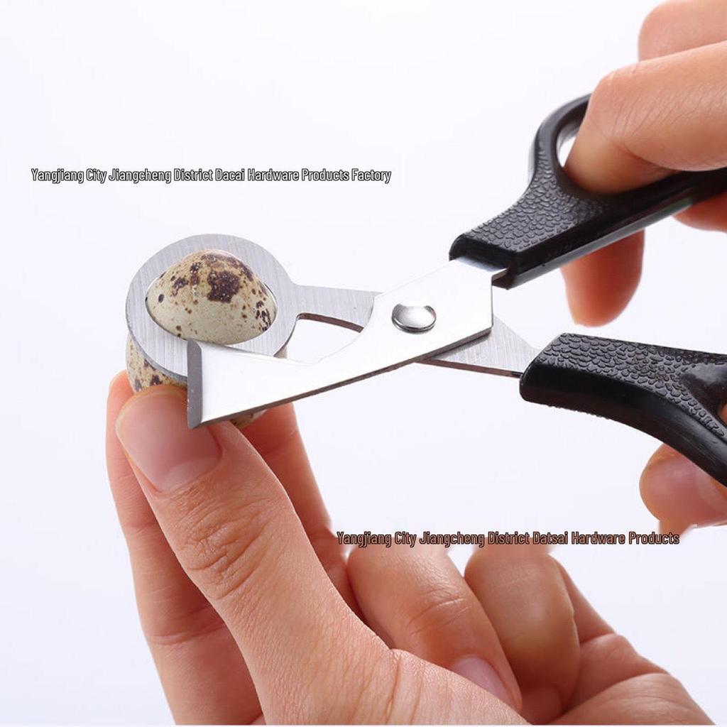 Stainless Steel Multifunctional Egg Slicer & Separator for Kitchen Quail and Bird Eggs