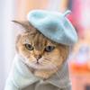Ins Pet Decor Cat Accessories Solid Color Cat Hat Pet Headwear Dog Beret Pet Wool Cap