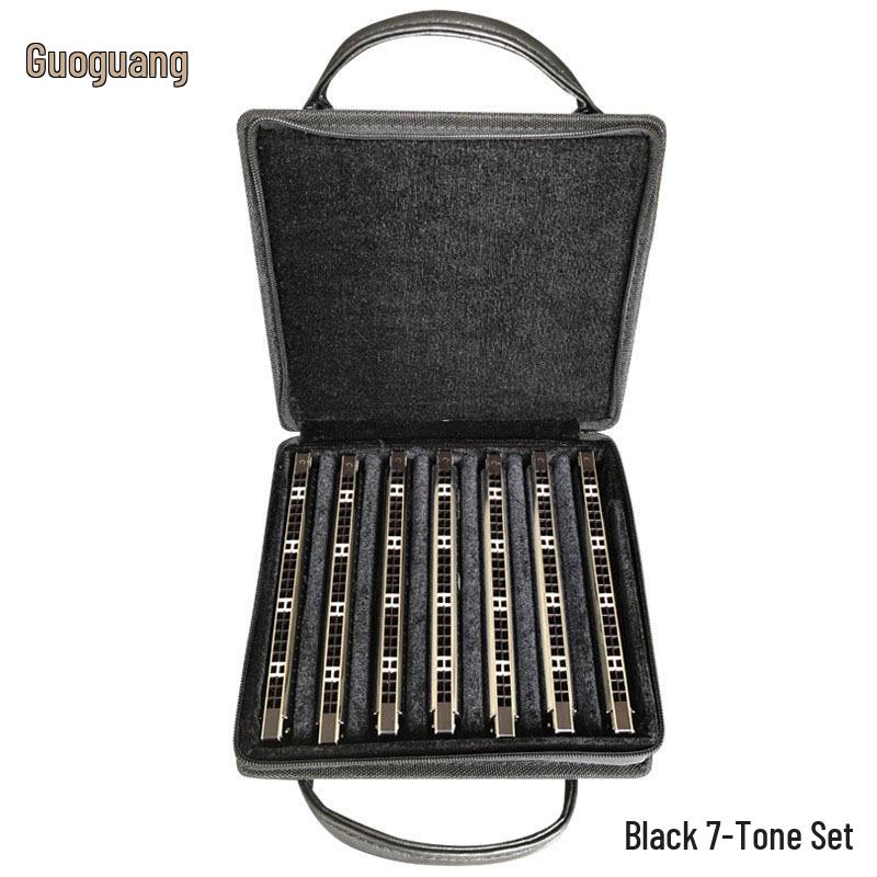 Guoguang 24-Hole Harmonica Set: Beginner to Pro Level, Double Reed, 12 Keys, Suitable for All Ages.