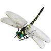 Jokes PVC 12cm Animal Model Dragonfly Action Figures Insects Model Dragonfly Model Animal Figures