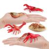 Simulation Of Marine Animal Crayfish Growth Cycle Model Crayfish Growth Process Static Ornament