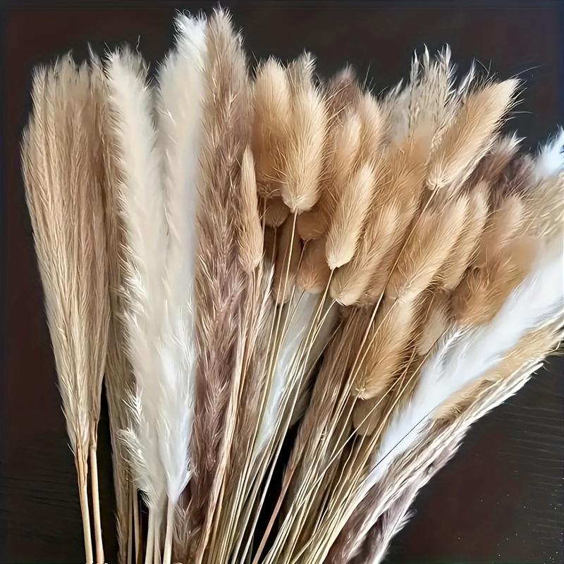 Dried Pampas Grass Boho, Natural & White Dried Plants Pompous Grass Bouquet with Bunny Tails Dried Flowers Bulk Reed Tail Grass