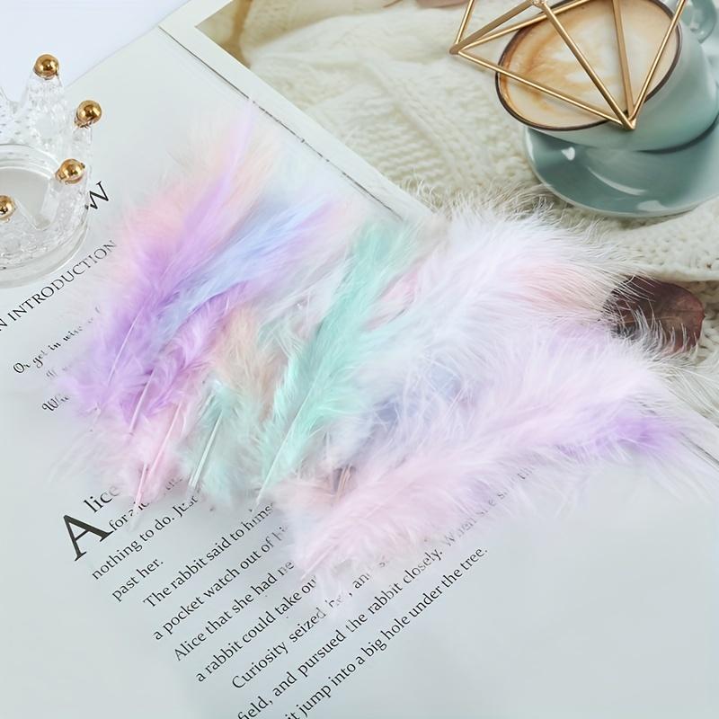 

A Pack of Turkey Feathers with Pointed Tail Feathers, Approximately 50 Pieces Per Pack, Filled with Bobball Feathers - DIY Colorful Cat різнокольоровий
