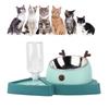 Pet Food Feeder and Automatic Water Dispensers Set with Detachable Stainless Steel Bowl for Small Medium PetsAgate Green