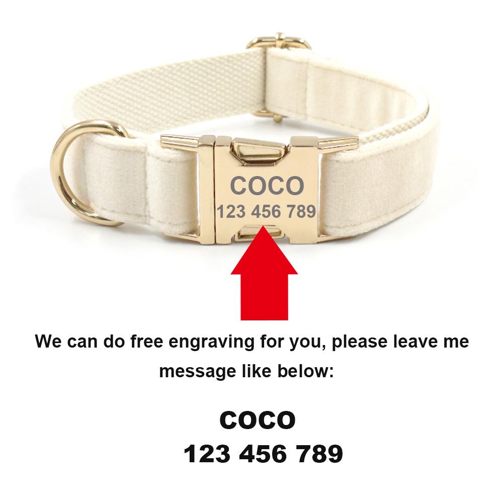 Pet Collar For Cats Small Medium Large Dogs Lemon Printing Luxury Designer Bow Dog Collar & Leash Set With Poop Bag