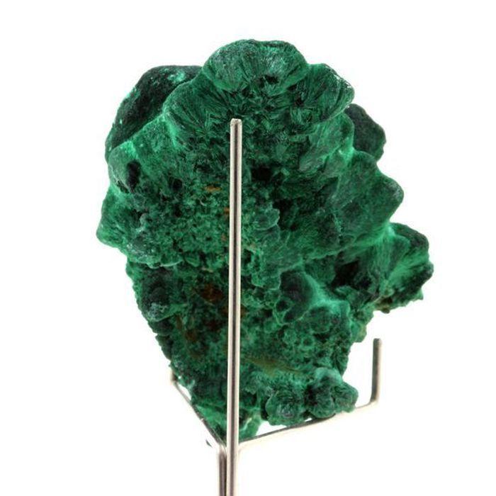Pierres et Minéraux. Malachite. 557.5 ct. Katanga, Congo.