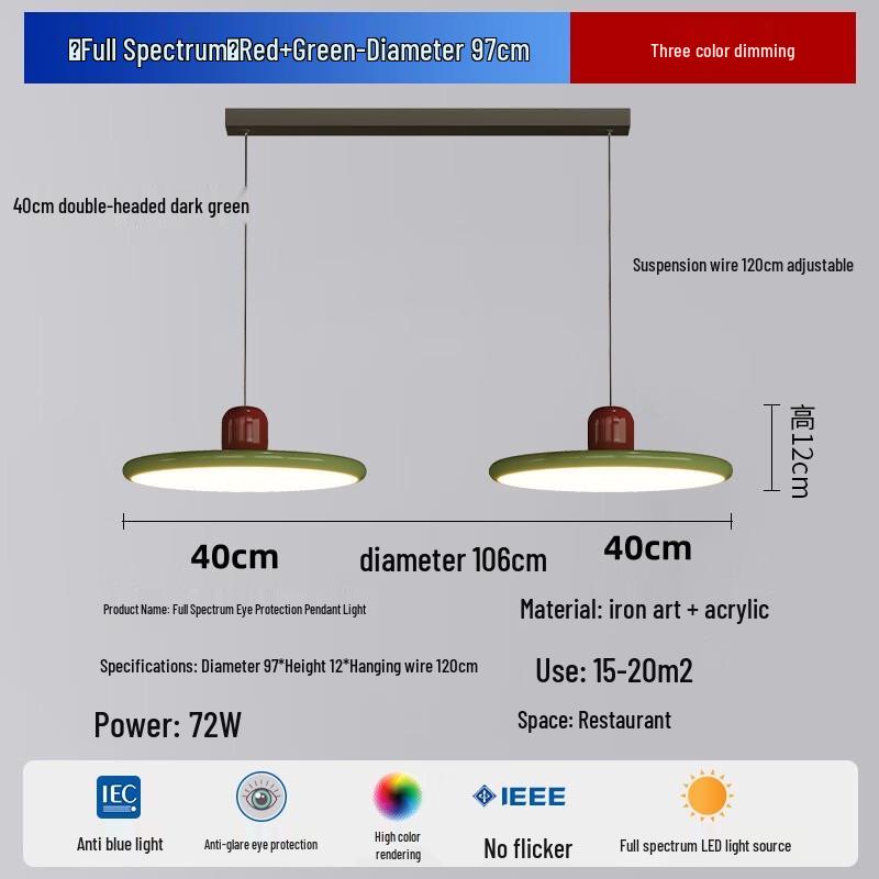 Xuanyong Full Spectrum Eye-Care 2-Head Pendant Light