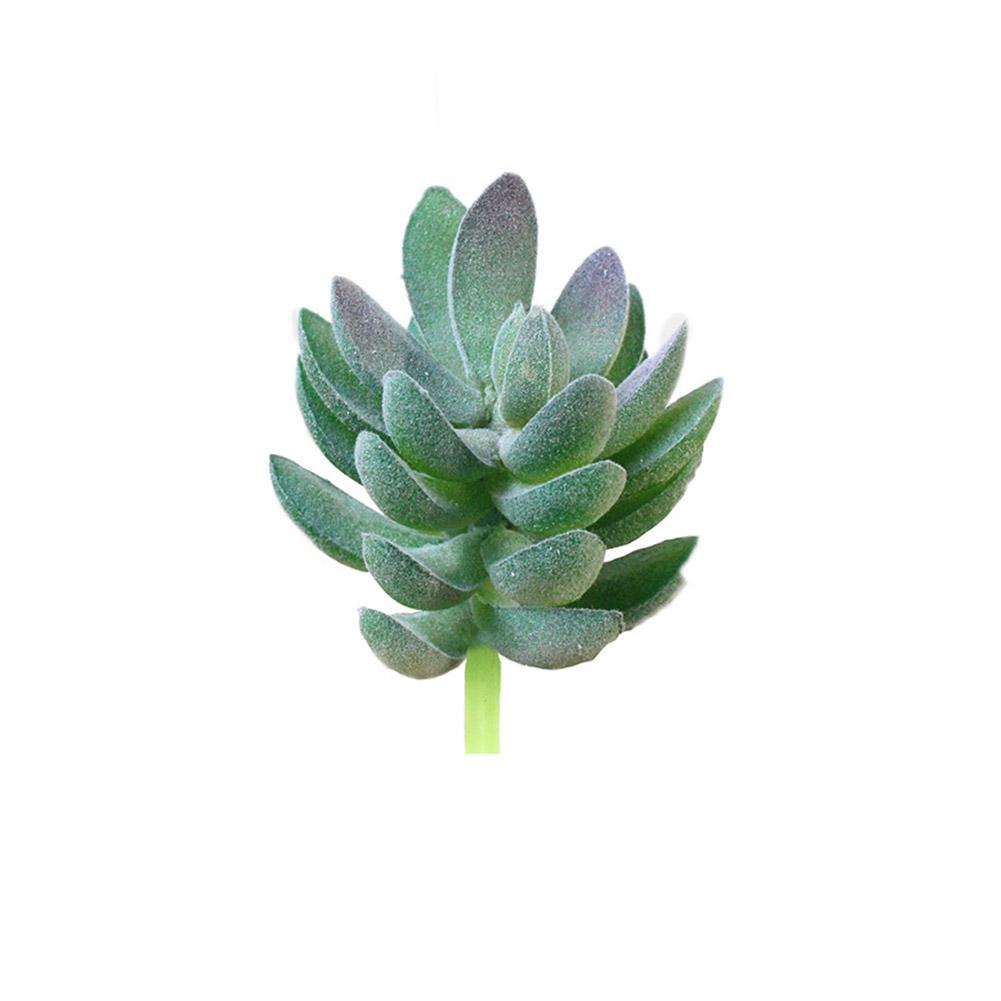 Mini Artificial Succulent Plant in Decorative Pots Stylish Accent Piece