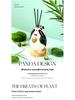 Chinese Panda Ceramic Diffuser Aromatherapy Gift Set