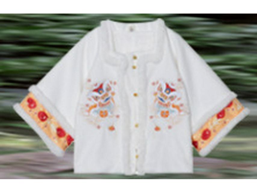 Winter Hanfu Windbreaker & Pferdefaltenrock Set für Mädchen - 2025 Tang-Anzug Stil