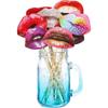 Goofy Lips Photo Booth Props for Weddings & Parties