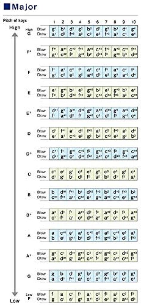 SUZUKI 10 Hole Harmonica PURE HARP D Key MR-550H