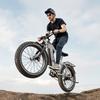 Bicicletta elettrica Duotts F26 Lite, motore 500W, batteria 48V 18AH, velocità massima 50 km/h, autonomia 90km, pneumatici 26x4.0 pollici