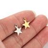 Semitree 20pcs Stainless Steel Small Star Pendant Flat Charms for DIY Jewelry Making Necklace Decoration Bracelet End Tail Charm
