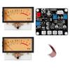 Vu Meter Stereo Audio Amplifier Board Adjustable with Driver DB Sound Indicator