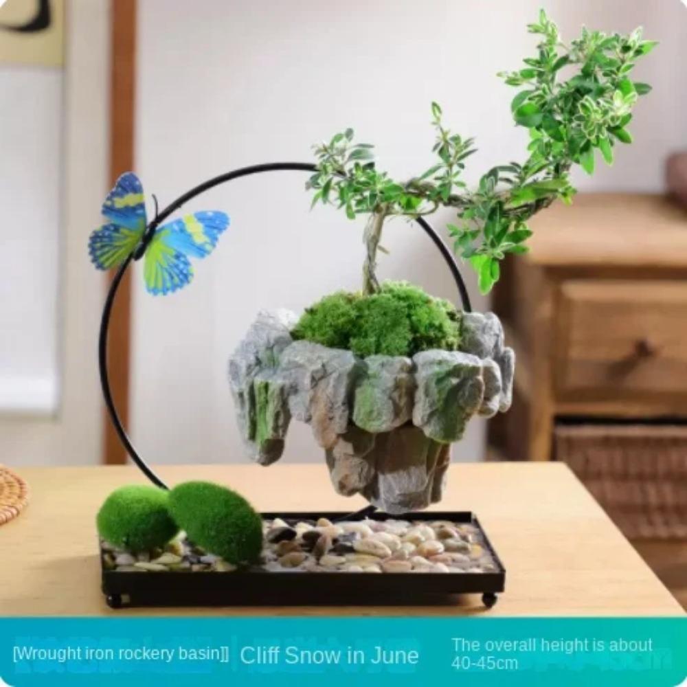 Facai Tree Nantianzhu Mizhu Bryophyte Green Plants Potted In the Living Room Office Small Leaf Rosewood Potted Landscape