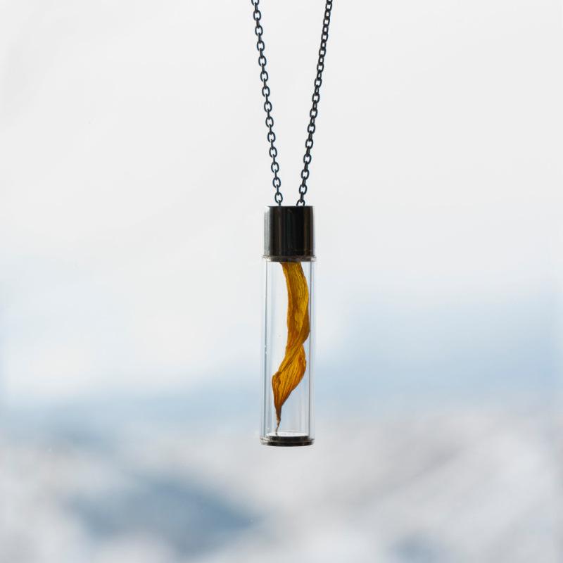 Niche Design Test Tube Red Particle Pendant Necklace Gold Thin Chain Light Luxury Personalized Commemorative Accessories Single Item