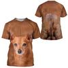 Summer Round Neck Animal Pattern 3D Print Top Fashionable Casual Short Sleeved Men's T-shirts