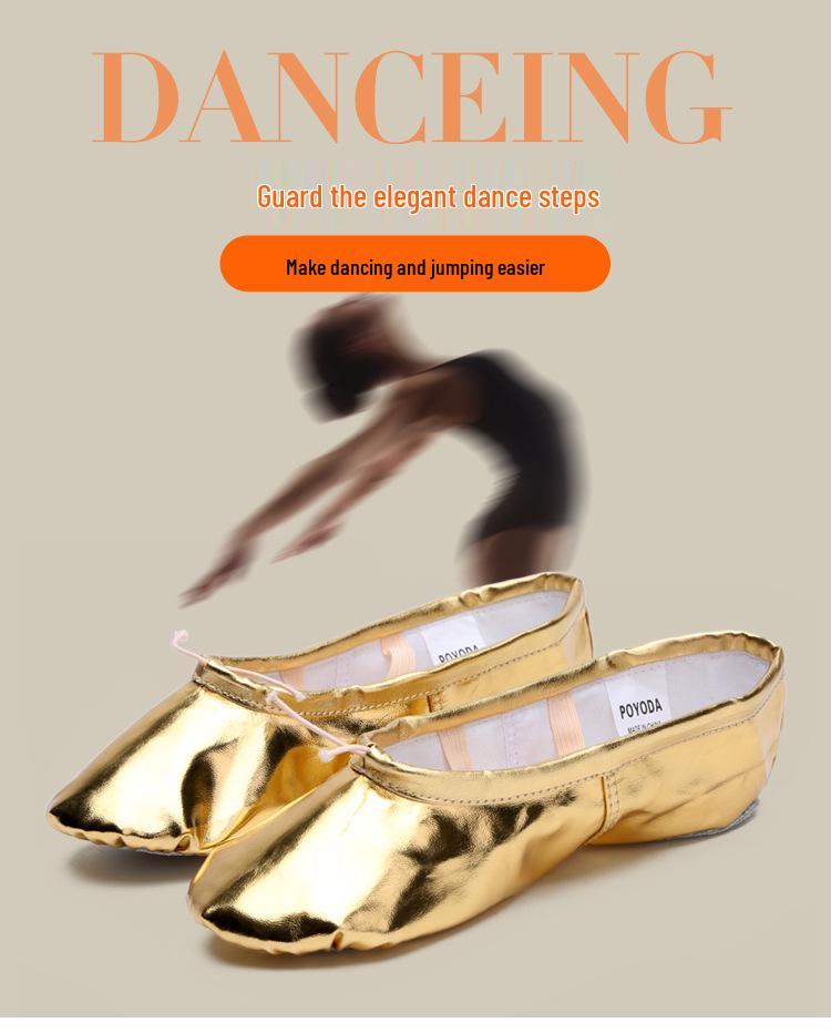 Women's Soft Sole Ballet & Dance Shoes - Gold/Silver, Cat Paw Design