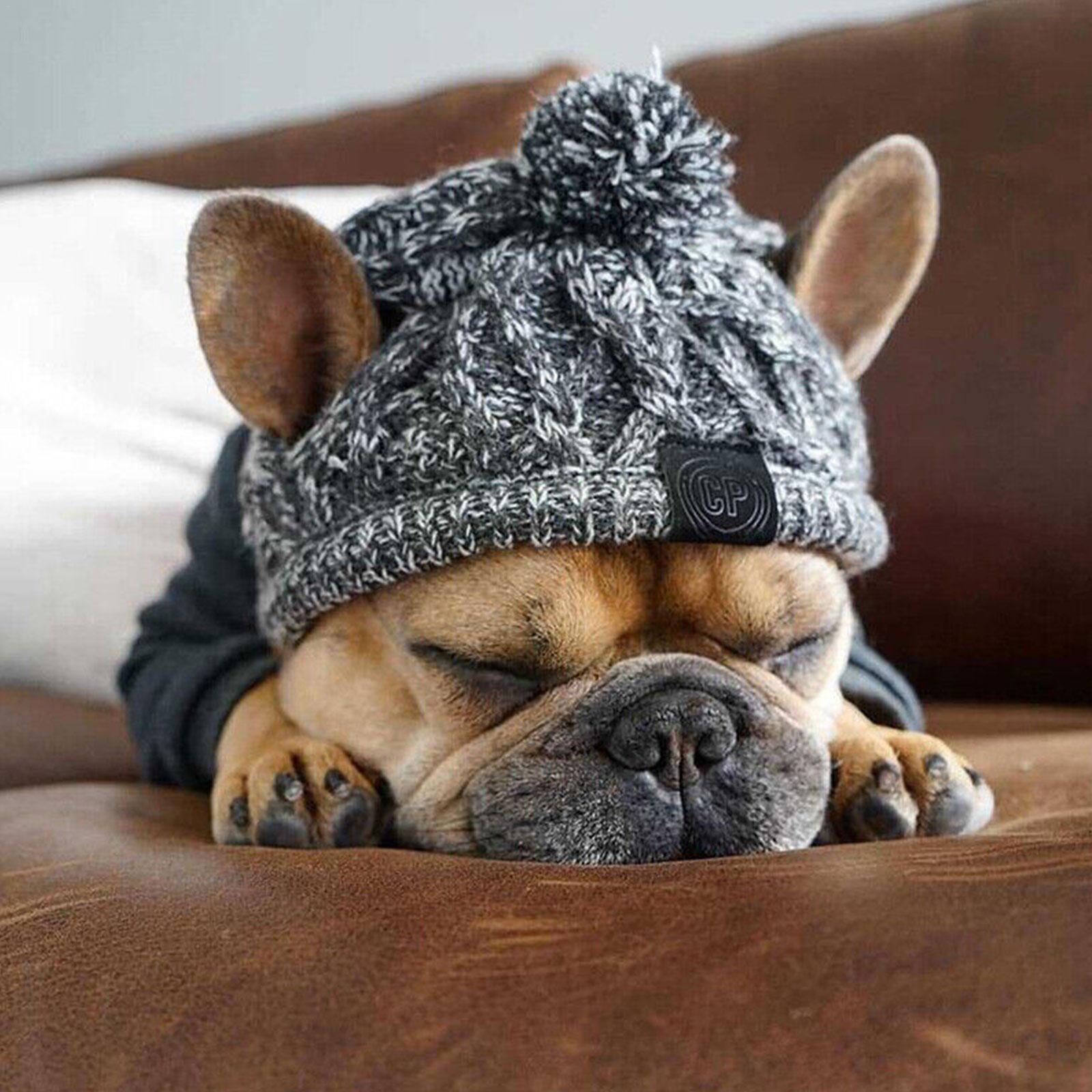 

Winter Warm Dog Hats Windproof Knitting French Bulldog Hat For Dogs Chihuahua Hat Fluffy Ball Puppy Accessories Pet Hat H5Y6 S