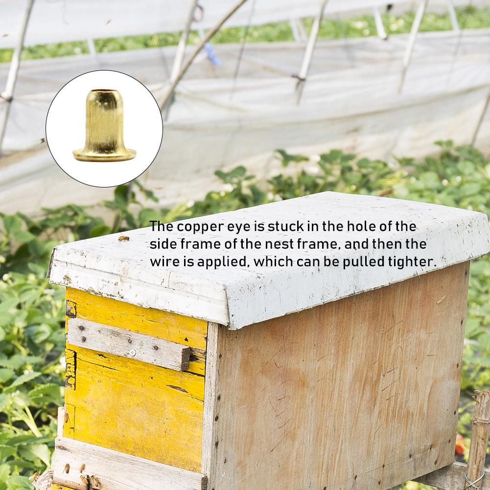 Cheap 1400Pcs Bee Hive Beehive Brass Nest Frame Eyelets Beekeepers ...