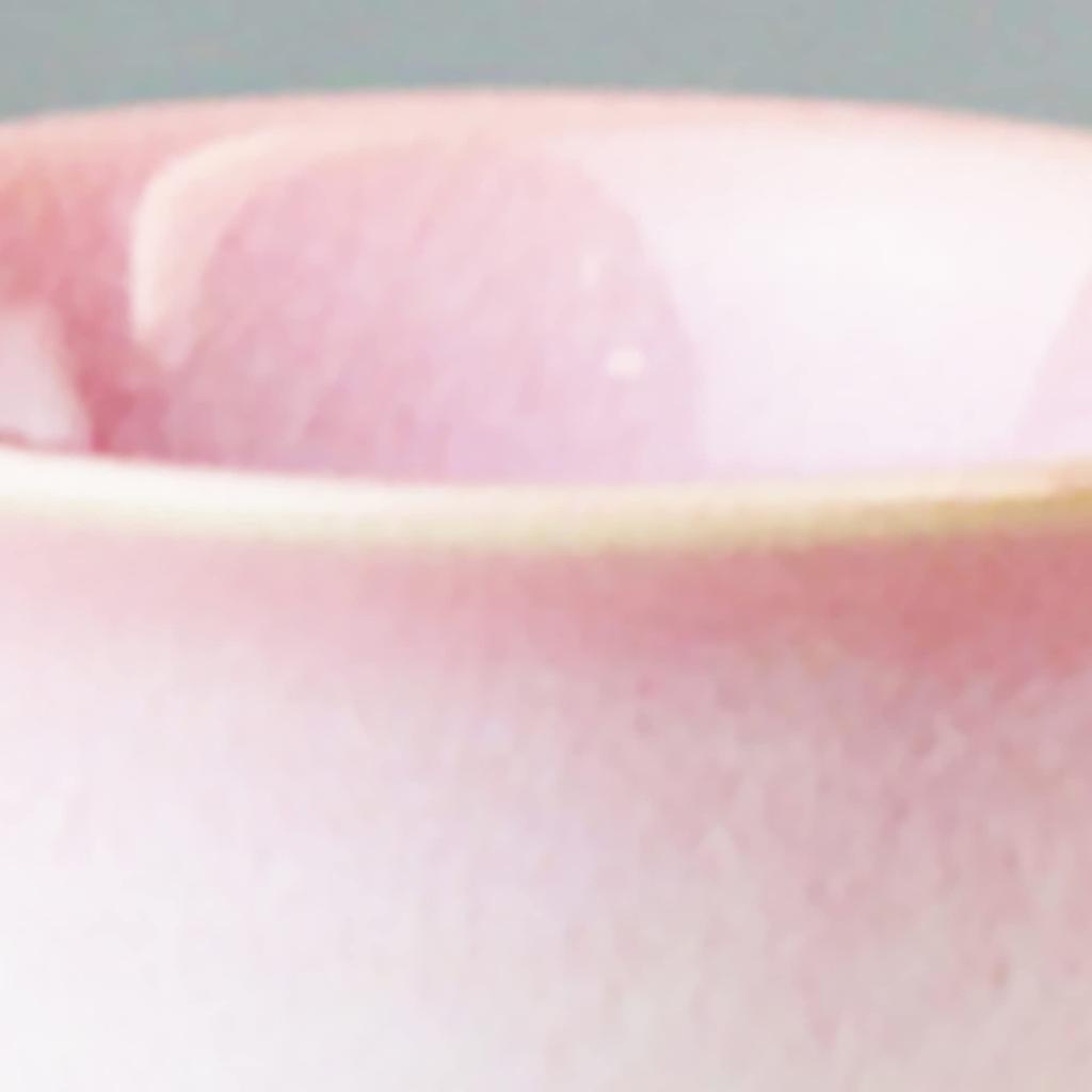 Japanese Tosai Tsubakihide Kiln Buds Free Cup Pair