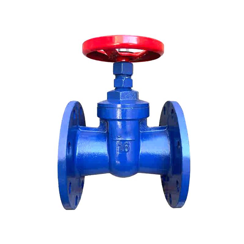 Ductile Iron Flanged Gate Valve